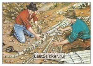 The World of Dinosaurs, Panini, 1997: наклейка №1