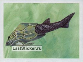 «Динозавры. Миллионы лет назад», Diamond, 1999: наклейка №49